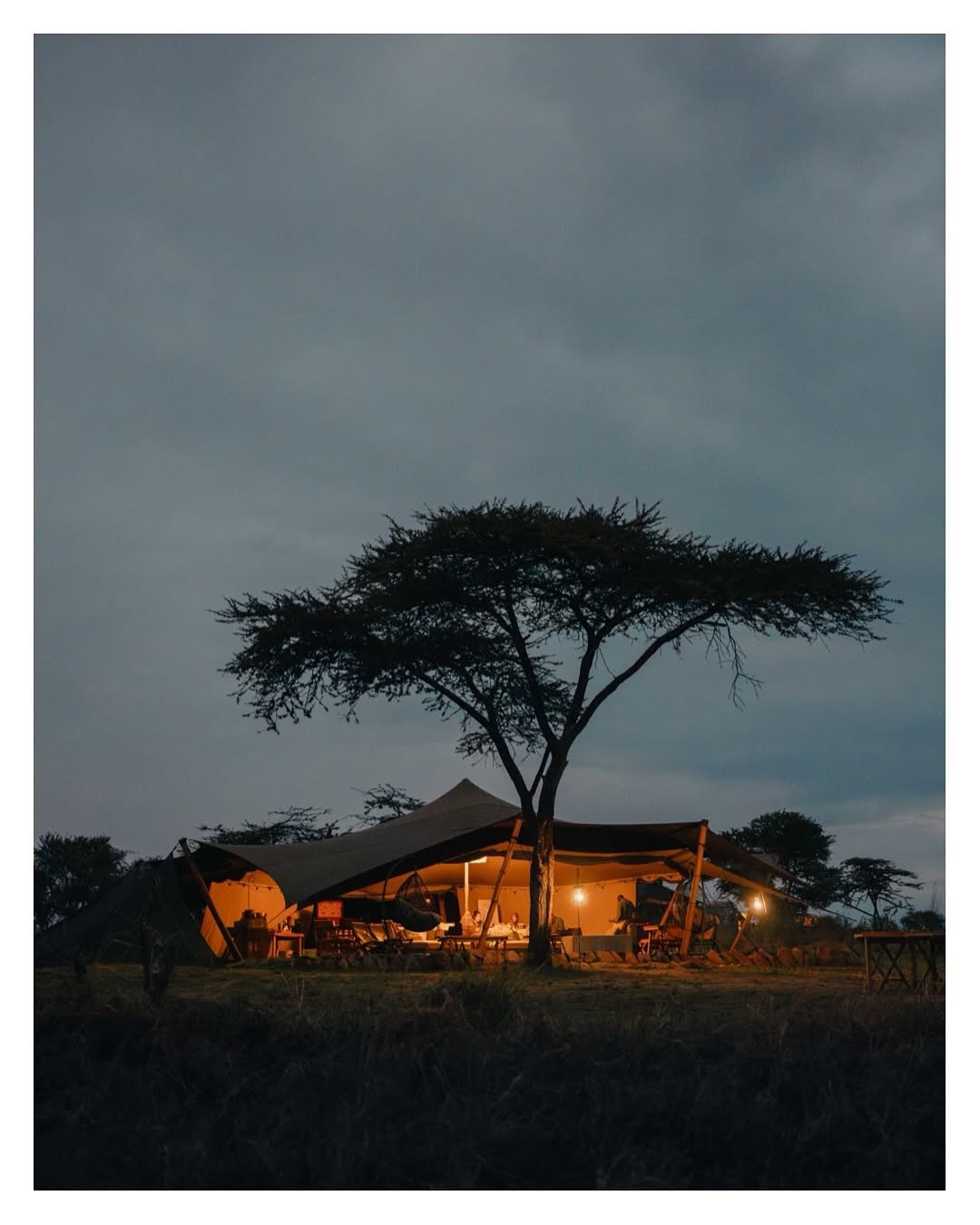 Want to Do a Safari in Kenya? Check the Top Safari Kenya Packages